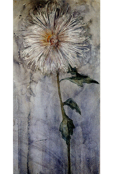 Naturalism: Chrysanthemum against Blue Gray Ground, 1901
